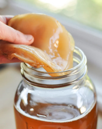 que es scoby de kombucha